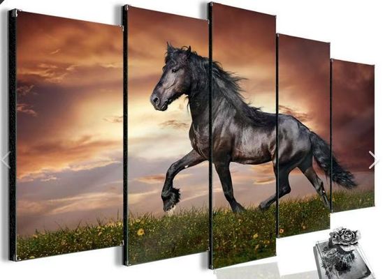 Regulador video multi With Artistic Freedom de la pared del ángulo 20W HDMI
